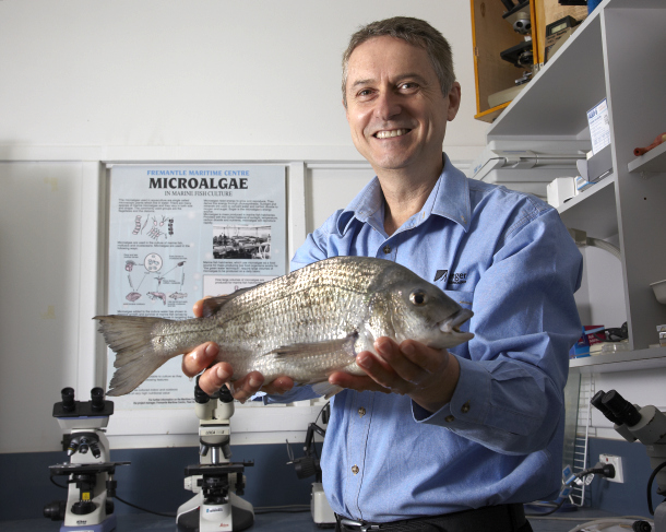 Fisho's Scott Thomas filming Bushy talking about Squidgy's new prawn lures.